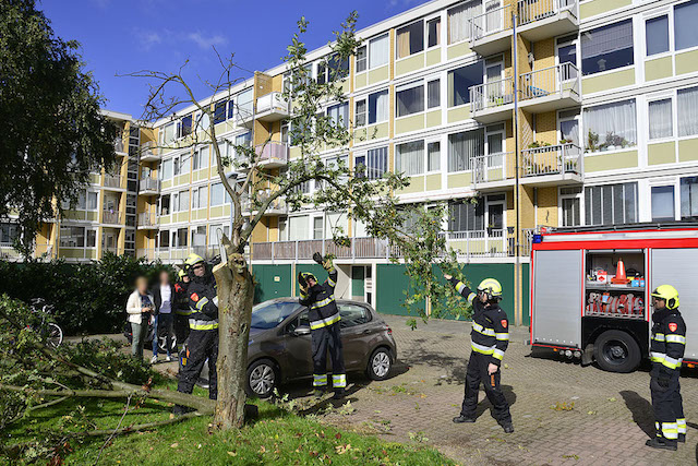 2017/201/20171005-14u12 GB 007 Stormschade Einsteinlaan.jpg